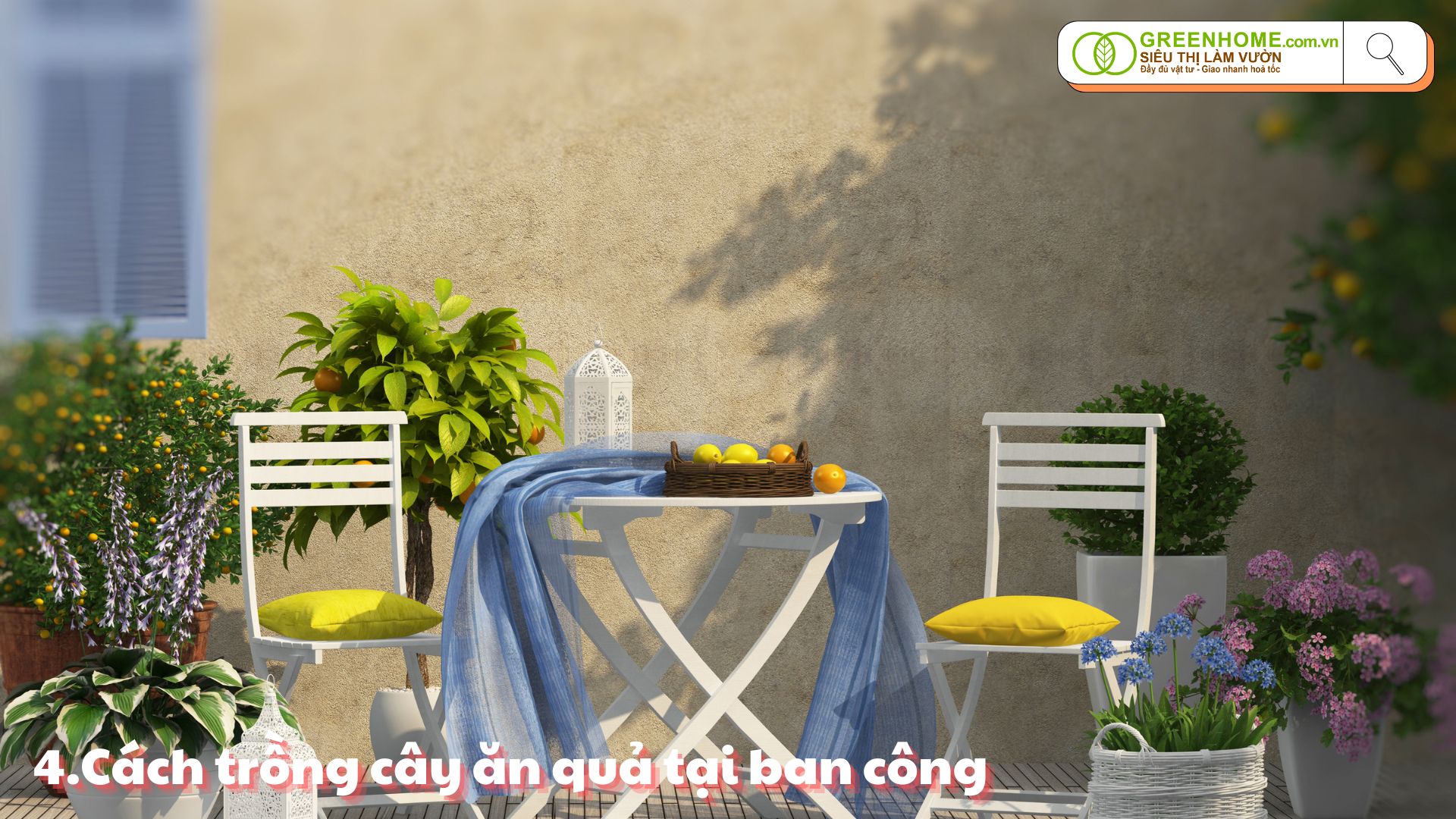 Bí quyết trồng cây ăn quả nhỏ tại ban công: Đơn giản, hiệu quả