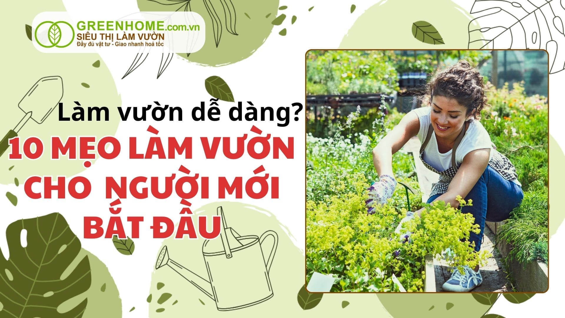 10 Mẹo Làm Vườn Hiệu Quả Cho Người Mới Bắt Đầu