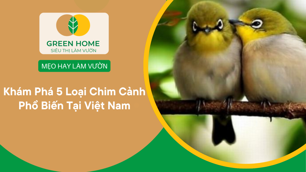 Các Loại Chim Cảnh Phổ Biến Tại Việt Nam