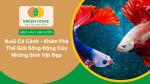Nuôi Cá Cảnh