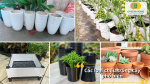 Từ chậu nhựa, chậu gốm đến chậu lắp ghép – đa dạng kiểu dáng cho bạn lựa chọn