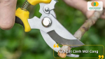 Kéo cắt cành mũi cong giúp cắt tỉa các cành có hình dáng phức tạp hay ở những vị trí khó tiếp cận