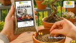 Đất Akadama giữ ẩm tốt và hỗ trợ rễ phát triển mạnh