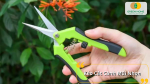 Thiết kế đặc biệt của kéo này giúp người sử dụng có thể dễ dàng cắt tỉa ở những vị trí hẹp, khó tiếp cận