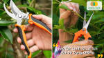 Công cụ không thể thiếu trong việc chăm sóc và làm đẹp cho khu vườn của bạn
