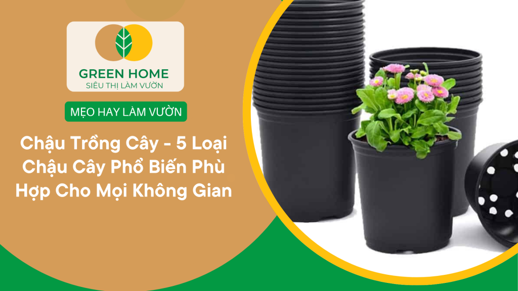Chậu nhựa trồng cây