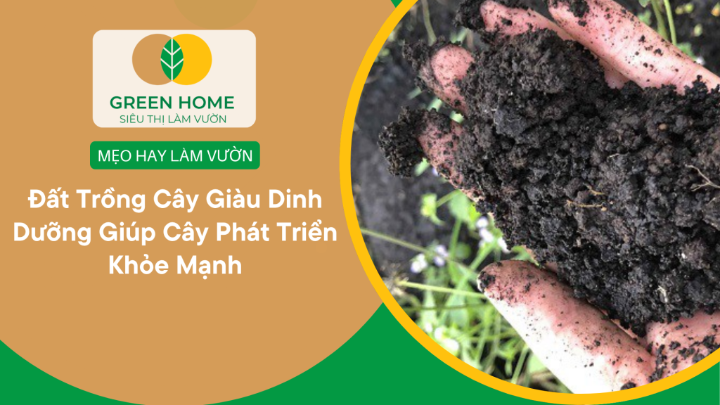Đất Trồng Cây Giàu Dinh Dưỡng Giúp Cây Phát Triển Khỏe Mạnh