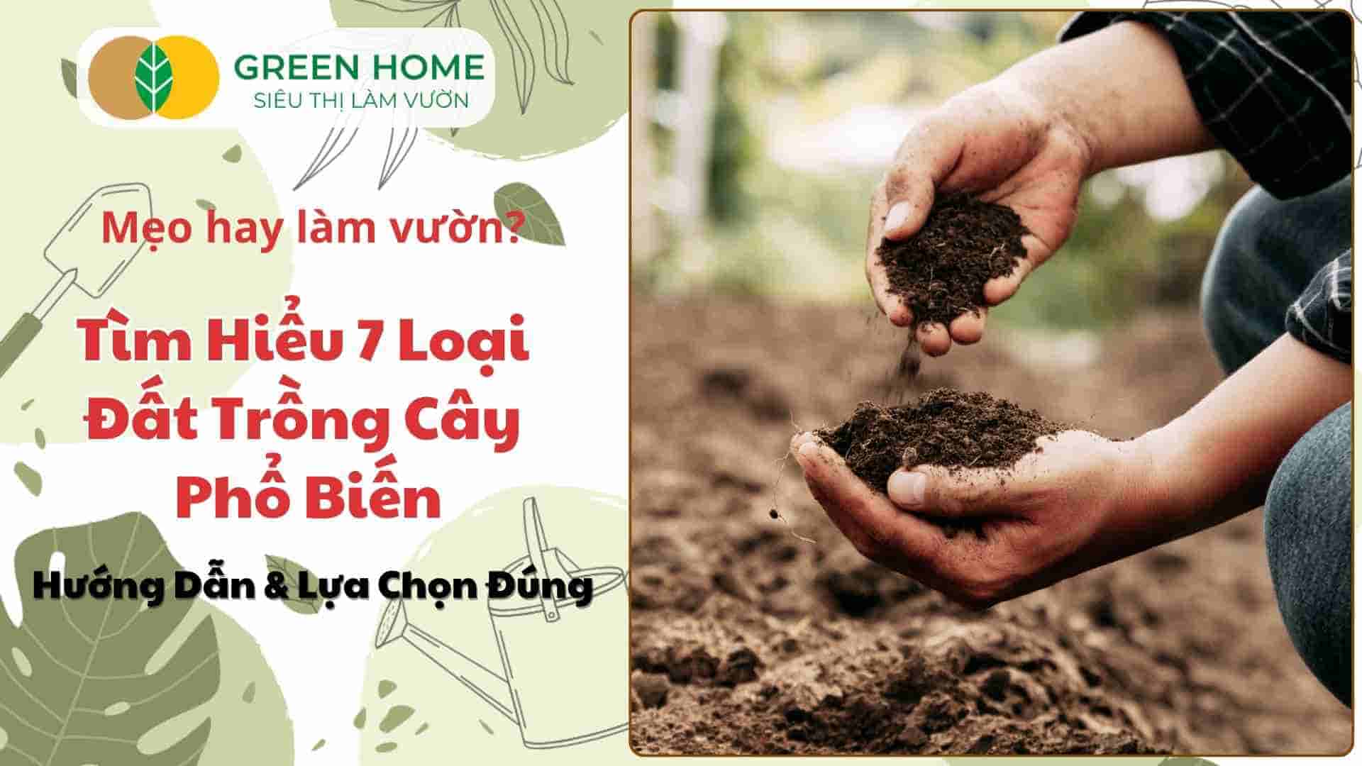 7 Loại Đất Trồng Cây Phổ Biến: Chọn Đúng Đất, Cây Phát Triển Khỏe