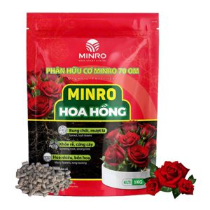 Phân Bón Hoa Hồng GreenHome, Minro, Bao 1kg, Hữu Cơ, Bung Chồi, Mượt Lá, Hoa Nhiều, Bền Hoa