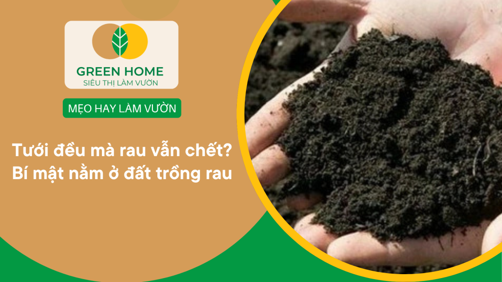 Đất trồng rau Greenhome