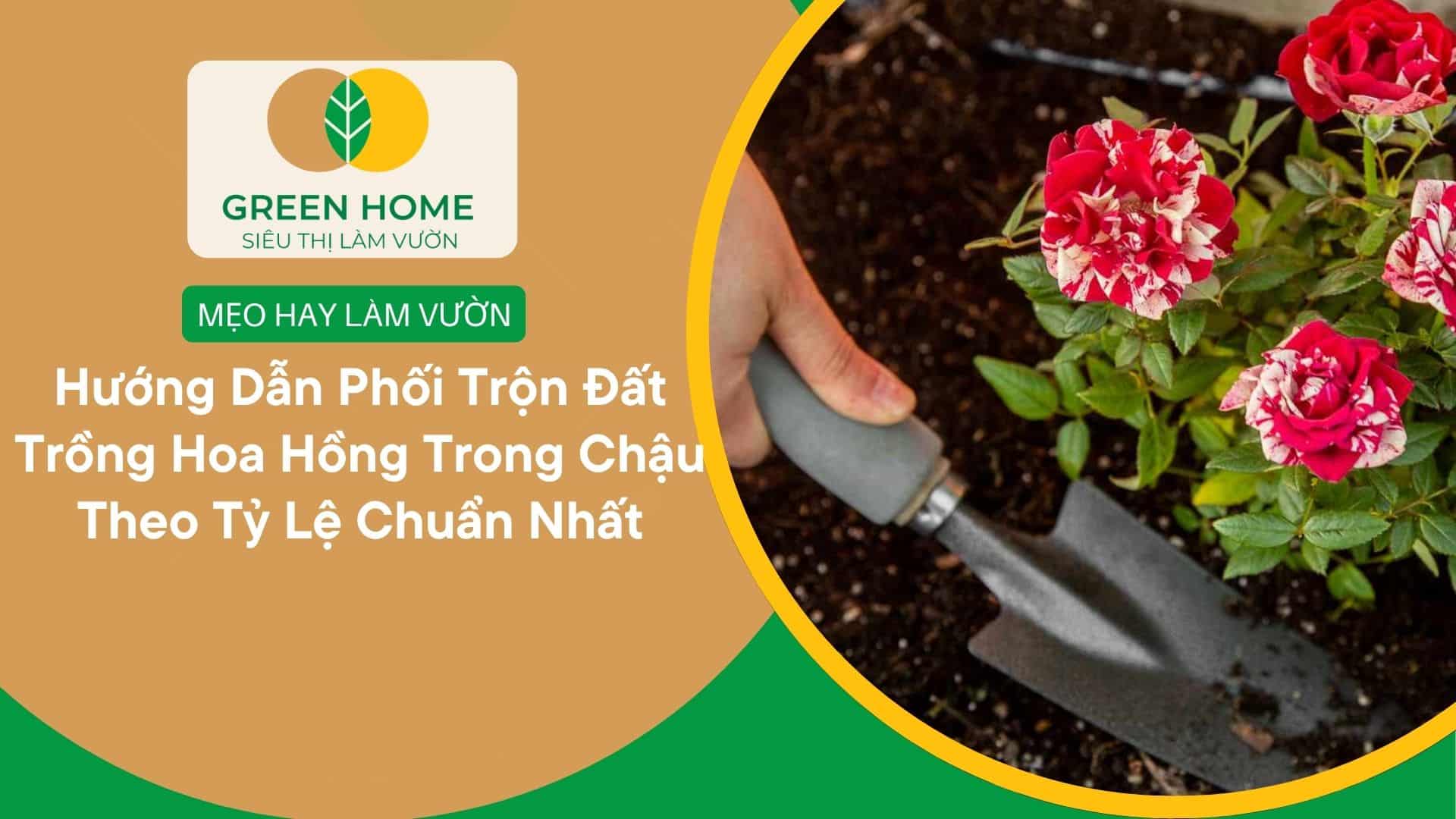 Hướng Dẫn Phối Trộn Đất Trồng Hoa Hồng Trong Chậu Theo Tỷ Lệ Chuẩn Nhất
