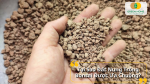 Tại Sao Đất Nung Trồng Bonsai Được Ưa Chuộng?