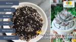 Các Thành Phần Phổ Biến Trong Đất Cho Sen Đá