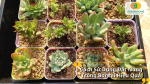 Cách Bảo Quản Đất Trộn Nung Được Phối Trộn Như Thế Nào?