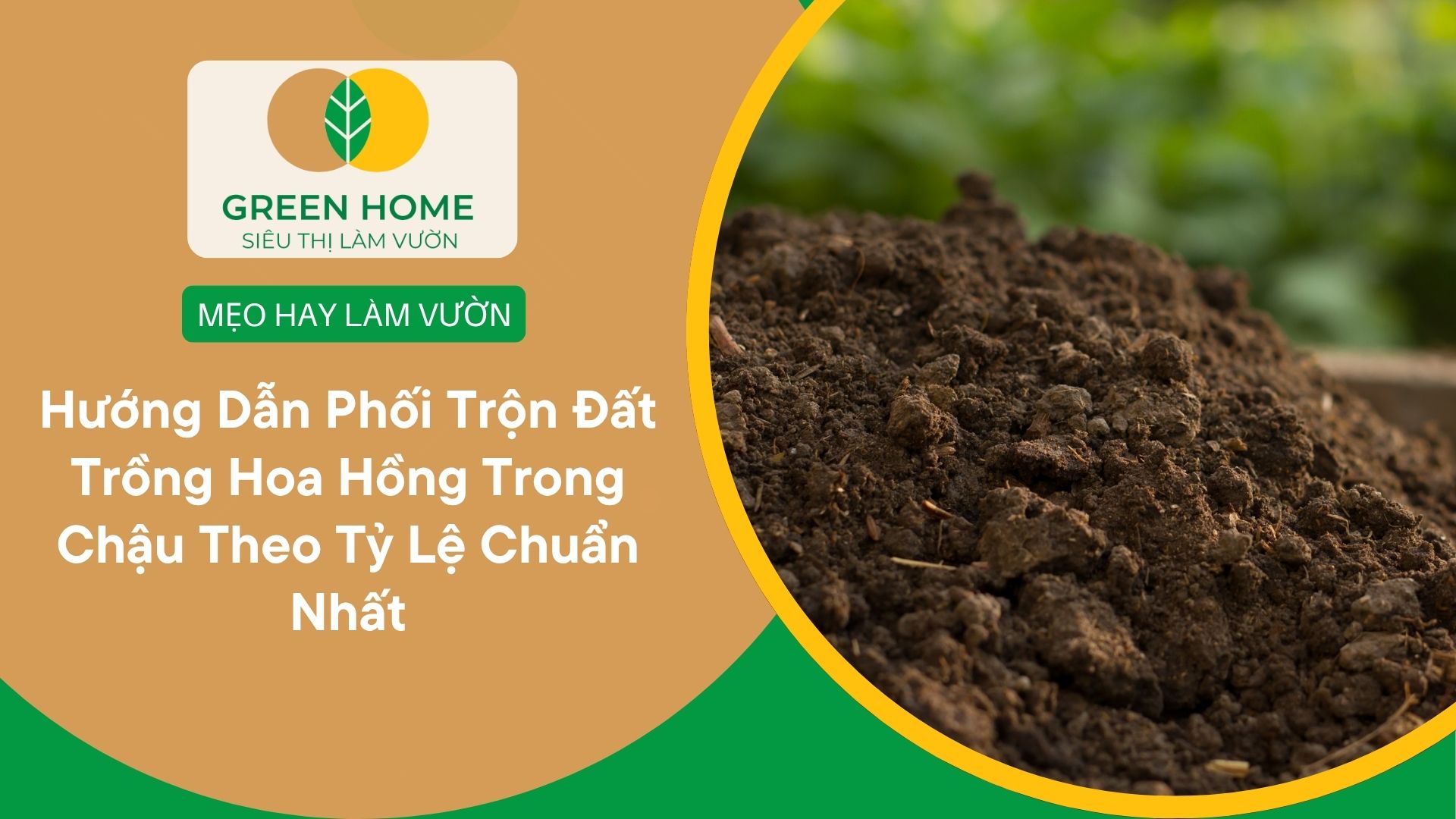 Hướng Dẫn Phối Trộn Đất Trồng Hoa Hồng Trong Chậu Theo Tỷ Lệ Chuẩn Nhất