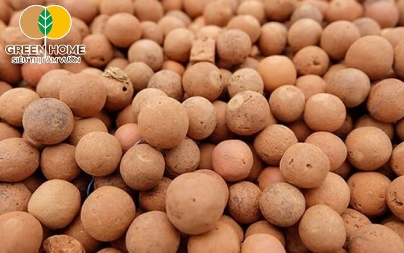 So với đất thịt, đất nung không gây úng nước, hạn chế thối rễ và tạo môi trường lý tưởng cho bonsai
