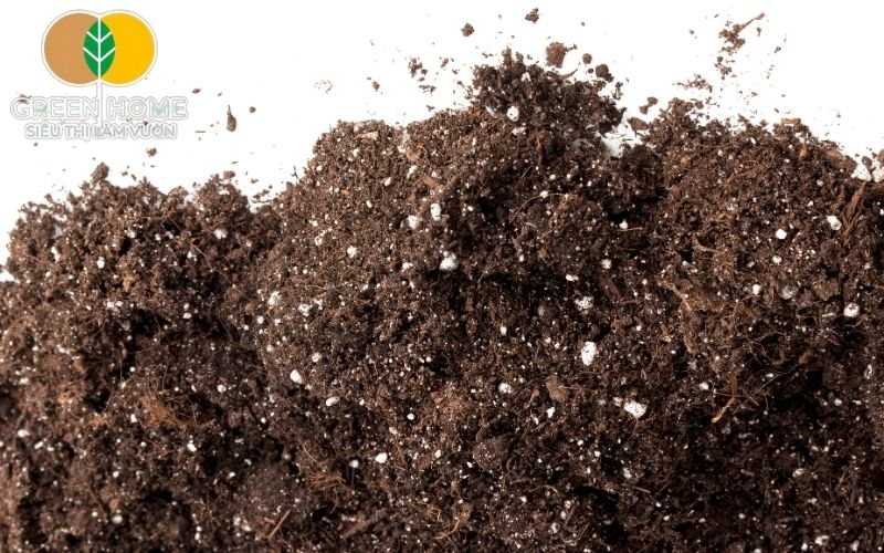 Dùng lại đất cũ đã xử lý kết hợp trấu, xơ dừa, phân hữu cơ để cải tạo hiệu quả