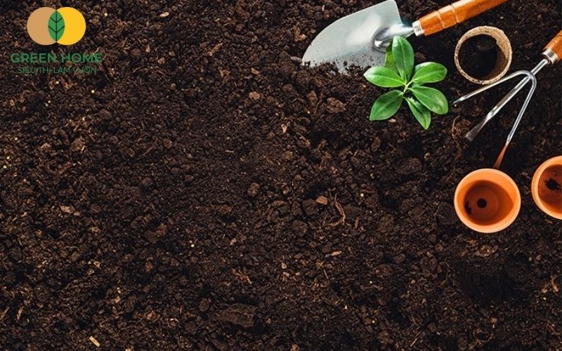 Xới tơi và phơi đất là bước quan trọng trong cải tạo loại đất trồng hoa hồng