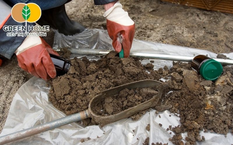 Xới tơi và phơi đất là bước quan trọng trong cải tạo loại đất trồng hoa hồng