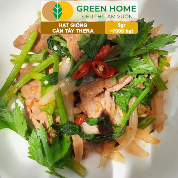 Hạt Giống Cần Tây Thera, Gói 5g~700 hạt, G17
