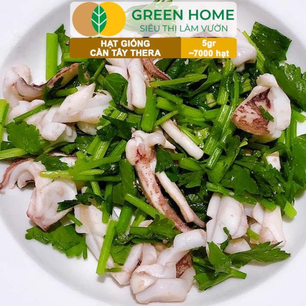 Hạt Giống Cần Tây Thera, Gói 5g~700 hạt, G17