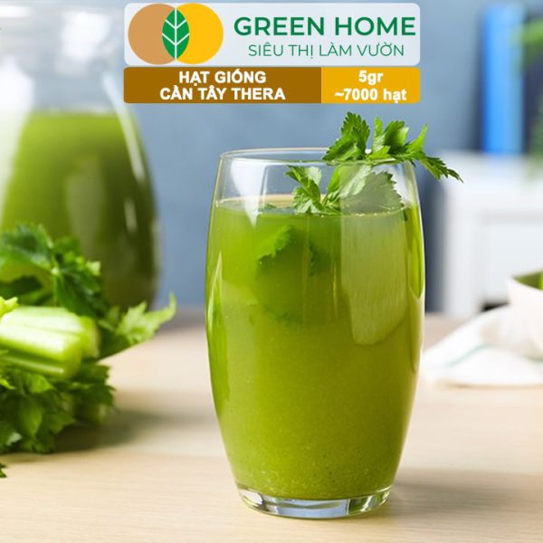 Hạt Giống Cần Tây Thera, Gói 5g~700 hạt, G17