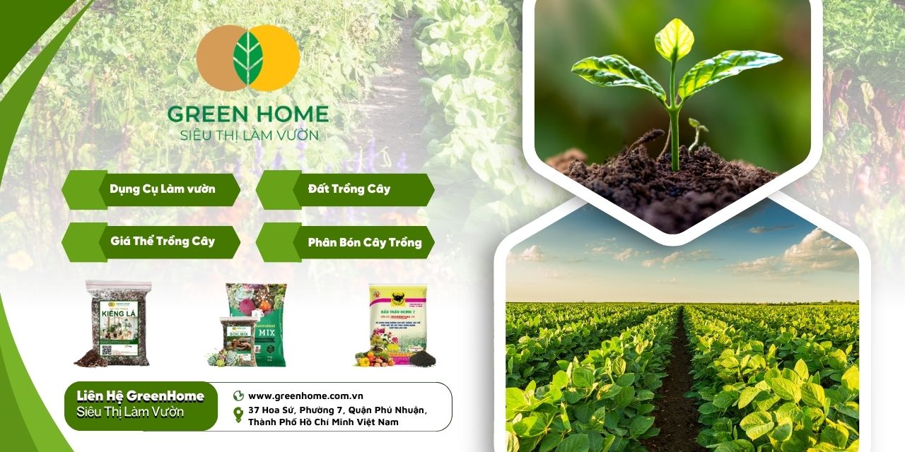 Giải pháp xanh cho không gian sống hiện đại liên hệ GreenHome ngay hôm nay