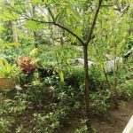 Ảnh khách chụp sản phẩm