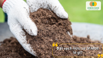 Đất sạch hữu cơ SFARM là gì?