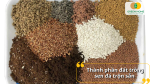 Đất trồng sen đá trộn sẵn gồm những thành phần gì?
