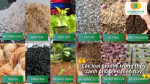 Các loại giá thể trồng thủy canh phổ biến hiện nay