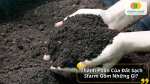 Đất Sfarm được phối trộn từ mùn dừa, trấu hun, phân trùn quế và khoáng chất tự nhiên