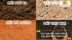 Các dòng đất sạch phổ biến như đất thịt, đất các, đất hữu cơ