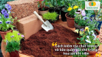 Cách kiểm tra chất lượng và bảo quản giá thể trồng hoa sai khi trộn