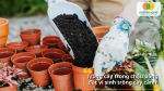 Trồng cây trong chậu bằng đất vi sinh trồng cây cảnh