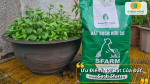 Sfarm tơi xốp cao, giữ ẩm tốt, thoát nước nhanh và không chứa mầm bệnh