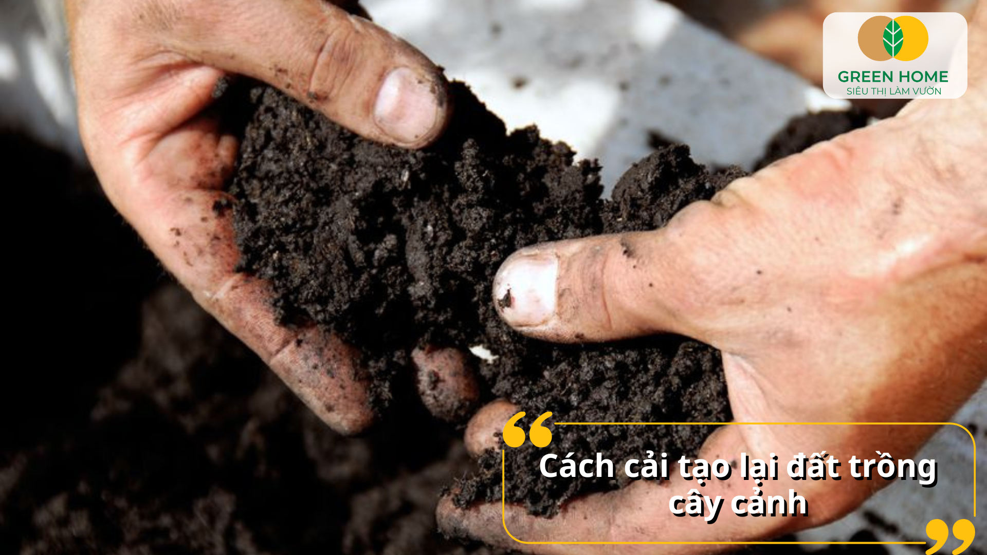 Cách cải tạo lại đất trồng cây cảnh
