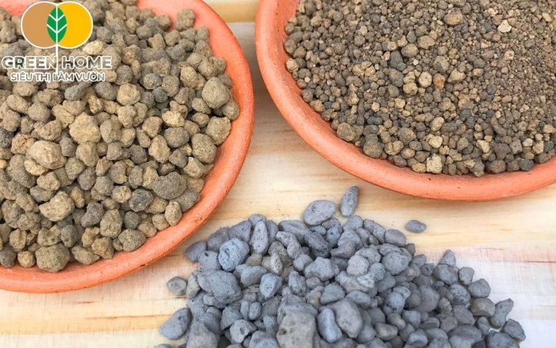 Perlite trong đất trồng akadama tăng độ thoáng khí, hạn chế nén chặt và phòng ngừa thối rễ