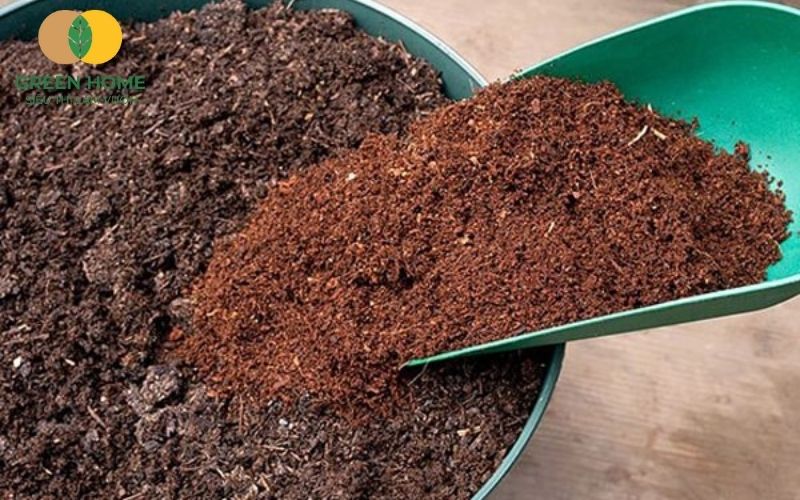 Kết cấu tơi xốp của giá thể trồng rau lý tưởng
