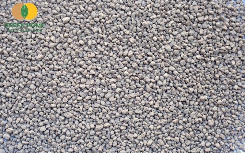 Rễ cây mai phát triển mạnh nhờ sử dụng đất akadama trồng mai có độ thoáng khí cao
