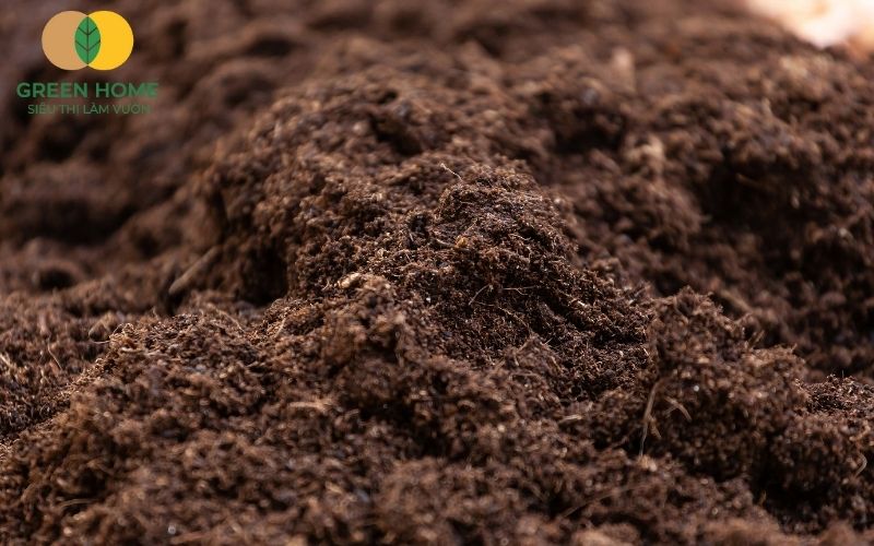 Thành phần hữu cơ tự nhiên trong đất sạch Sfarm giúp tăng độ phì nhiêu cho đất