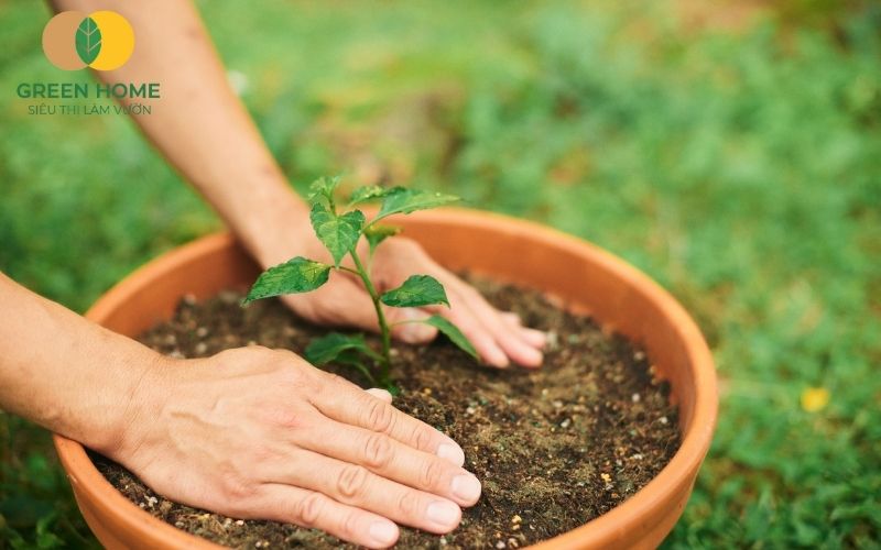 Đất sạch trồng cây được bảo quản đúng cách để giữ nguyên chất lượng.