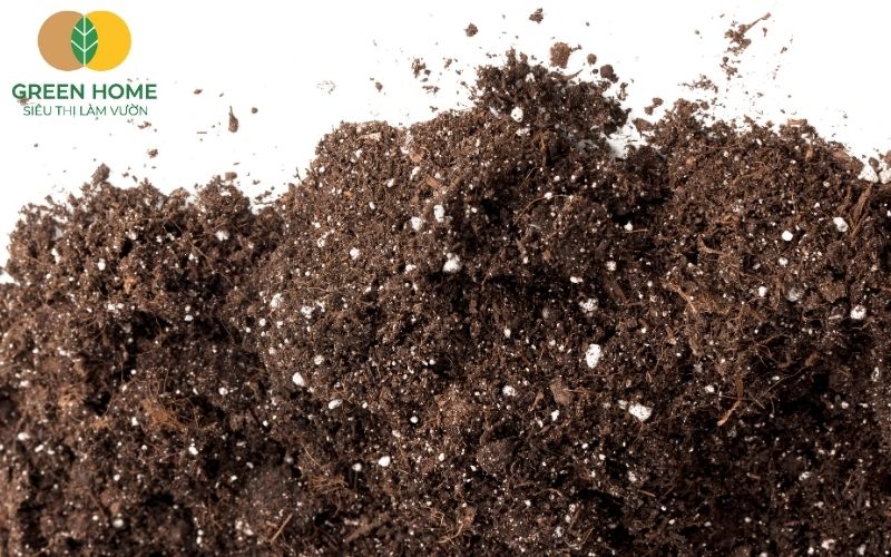 Đất trồng cây cảnh trong chậu thoát nước tốt, giữ ẩm hoàn hảo
