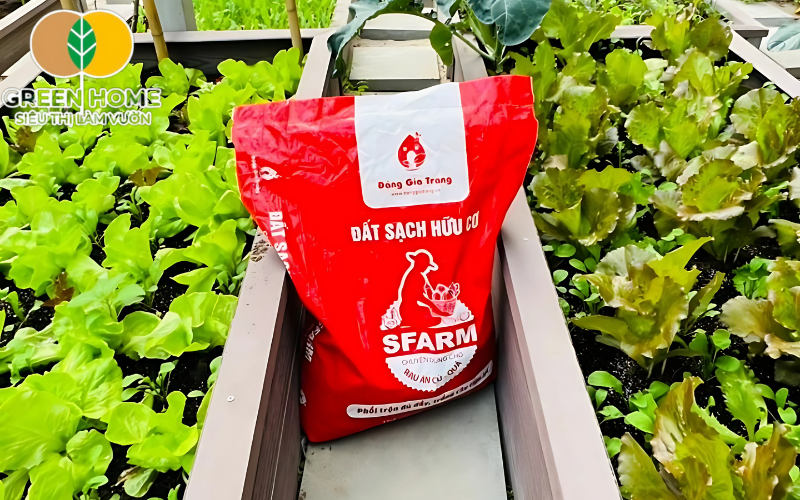 Trồng rau sạch cùng đất sạch hữu cơ SFARM.