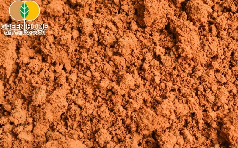 Đất đỏ bazan yếu tố cốt lõi tạo nên thương hiệu cà phê và hồ tiêu Việt Nam.