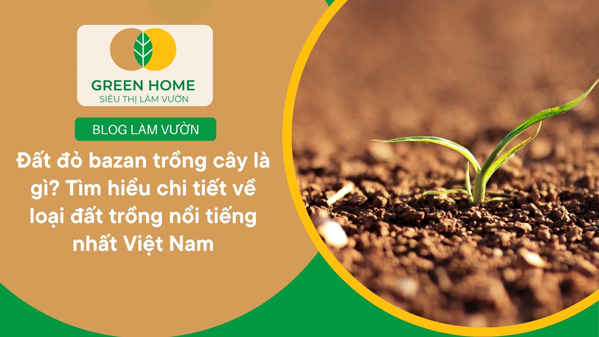 Đất đỏ bazan trồng cây là gì? Tìm hiểu chi tiết về loại đất trồng nổi tiếng nhất Việt Nam