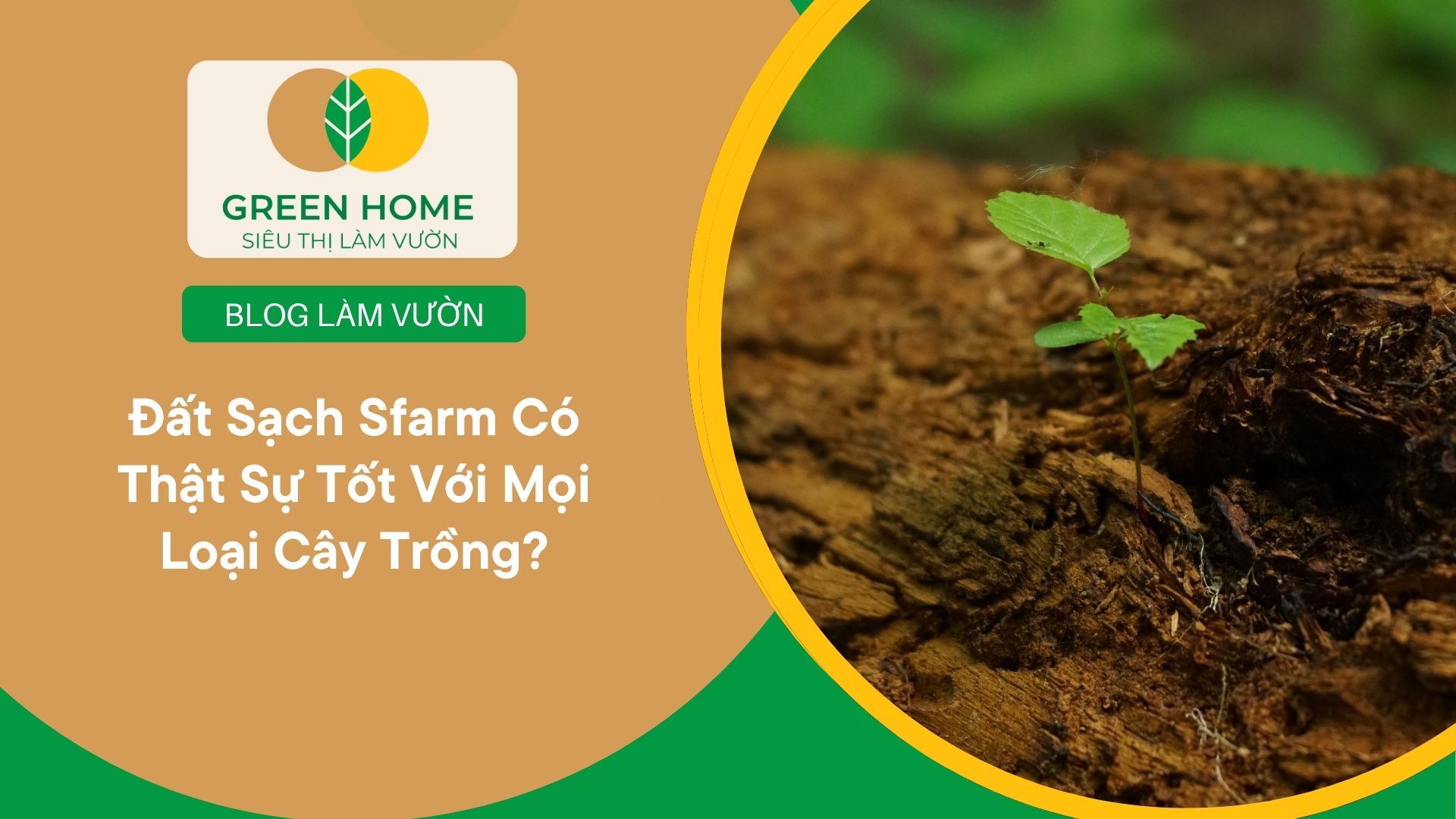Đất Sạch Sfarm Có Thật Sự Tốt Với Mọi Loại Cây Trồng?