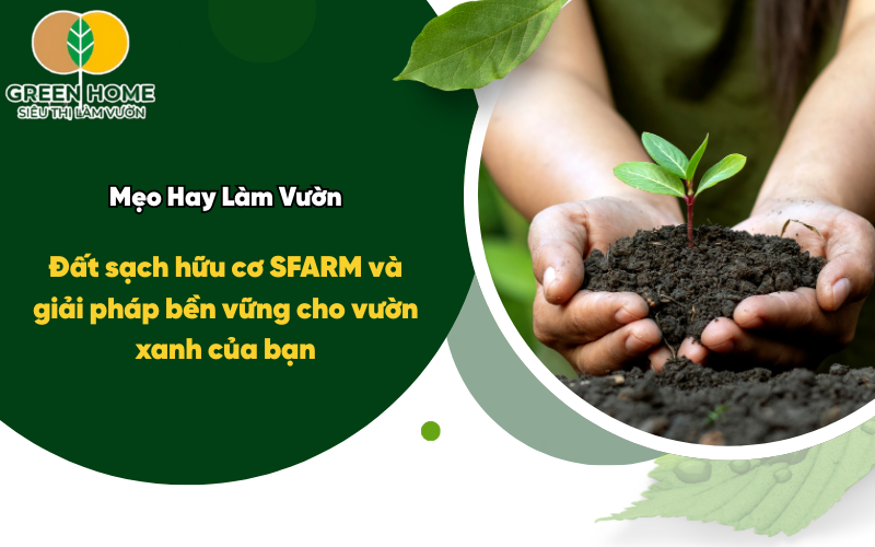 Đất sạch hữu cơ SFARM và giải pháp bền vững cho vườn xanh của bạn