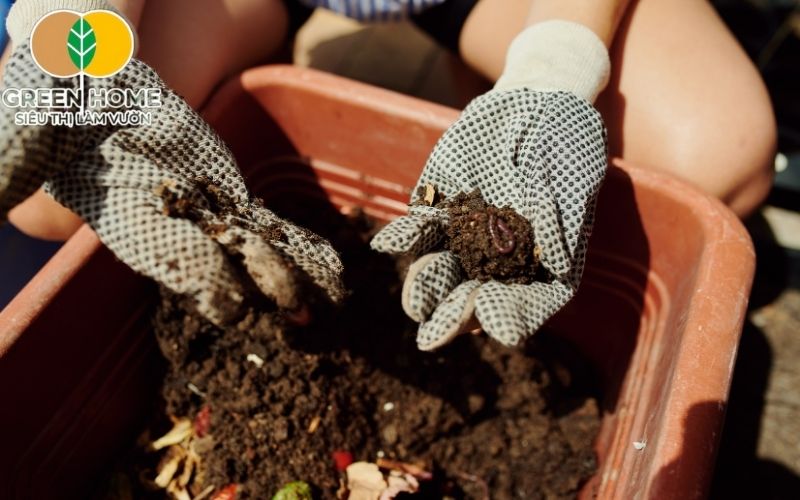 Đất sạch hữu cơ SFARM giàu phân trùn quế, nuôi rễ khỏe, cây bền.