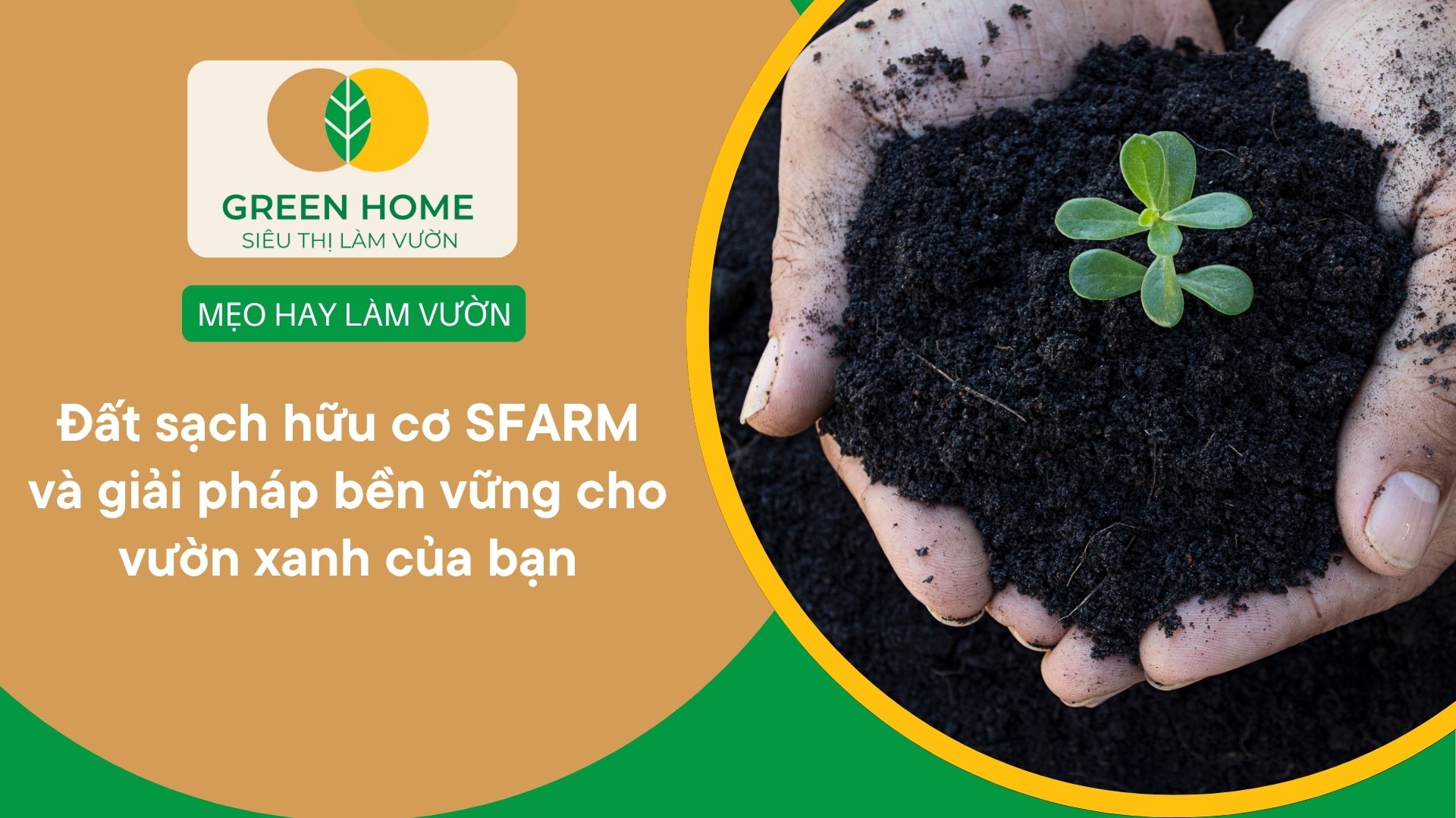 Đất sạch hữu cơ SFARM và giải pháp bền vững cho vườn xanh của bạn